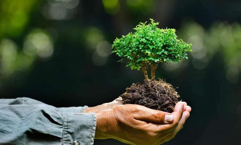 بطاقة الأداء البيئي الإماراتية